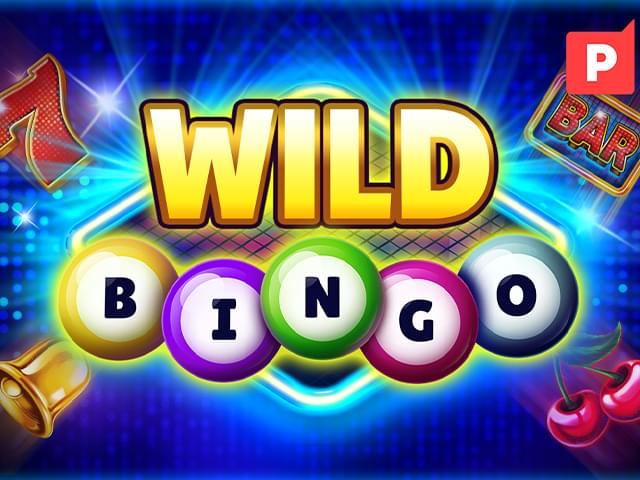 305 bet Bingo Selvagem